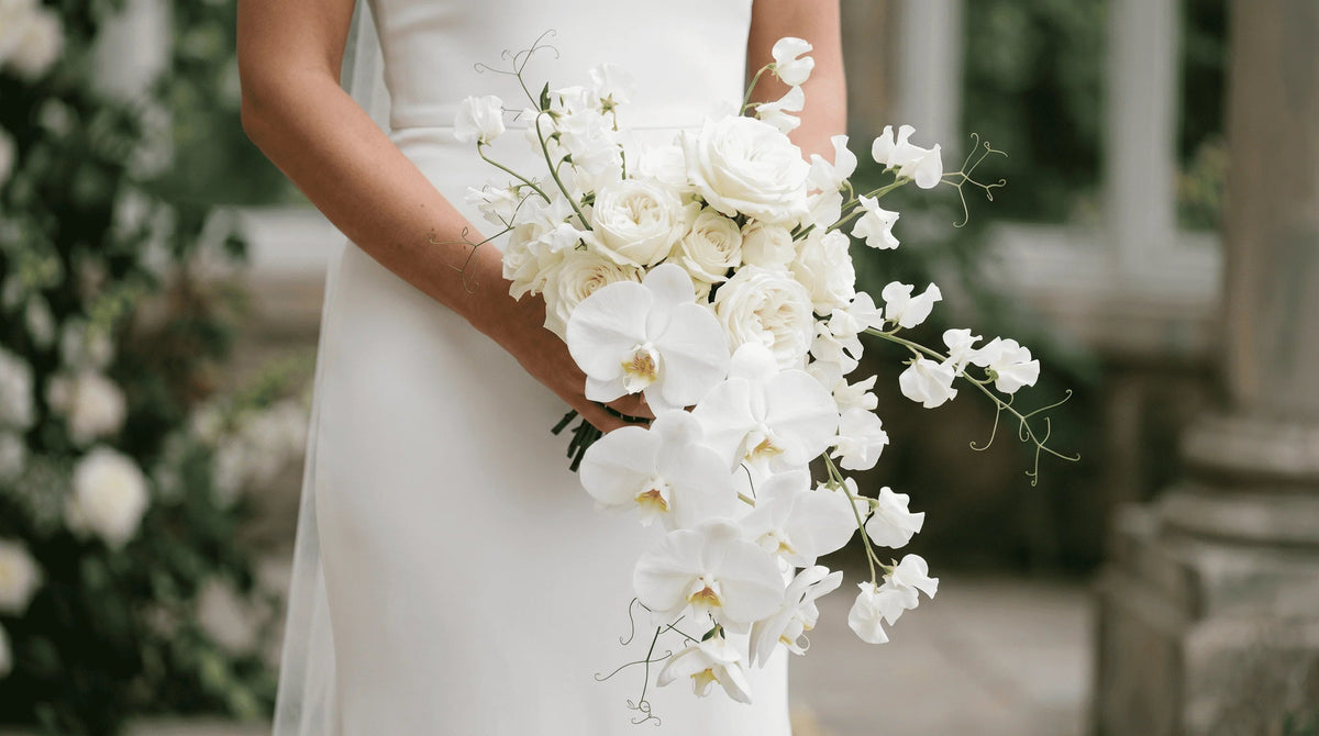 Shop for Wedding